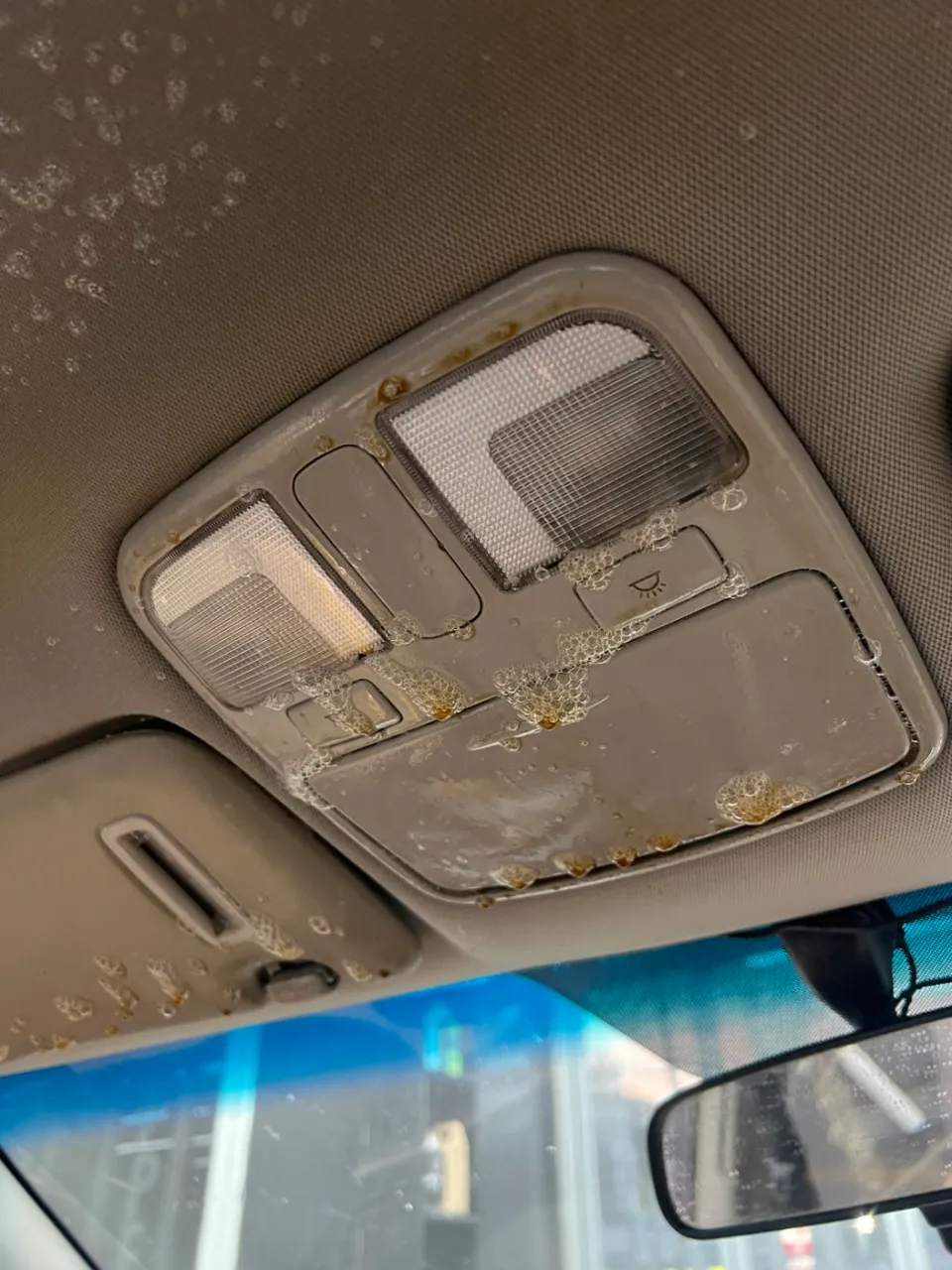 Kia Carnival Seat Ventilation & Heating Review — Enhanced Comfort After