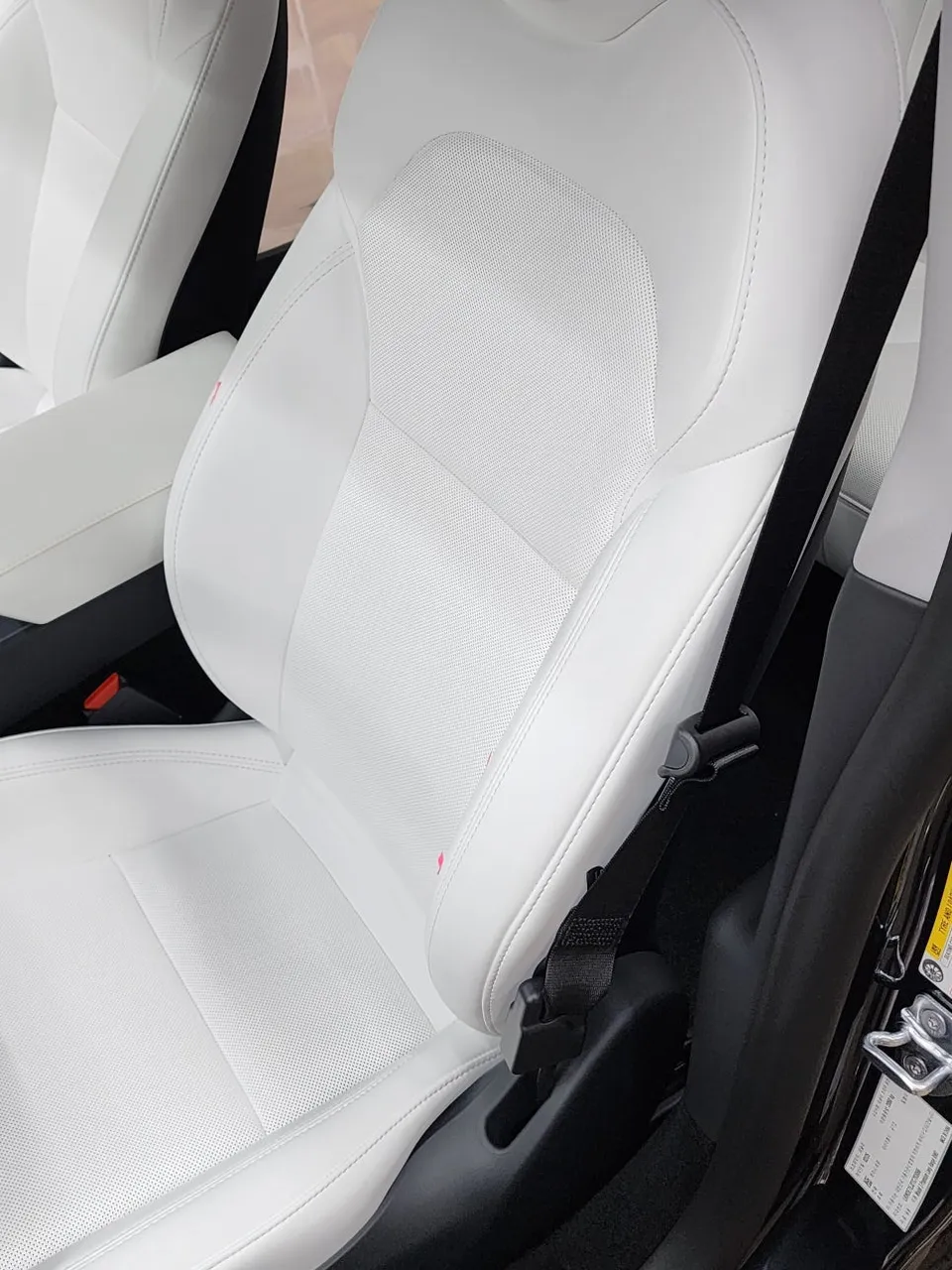 Tesla Model 3 PPF施工事例｜費用目安と仕上がり 施工写真 1-3