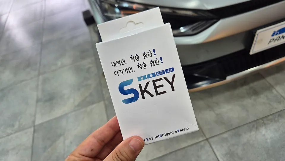 Kia EV6 ghost door - Kia EV6 Ghost Door Review — Installation Cost photo 3