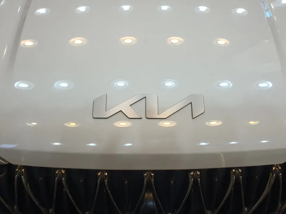 Kia Carnival 4th Gen ambient lighting - Kia Carnival 4th Gen Ambient Lighting Review photo 4