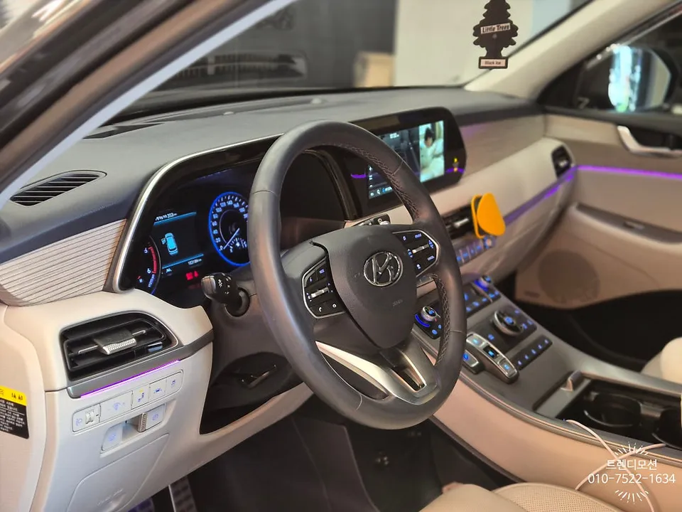 Hyundai Palisade Steering Wheel Customization Review photo 1