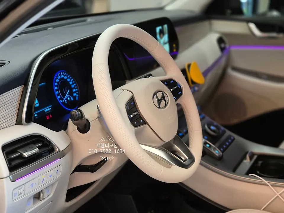 Hyundai Palisade Steering Wheel Customization Review photo 2