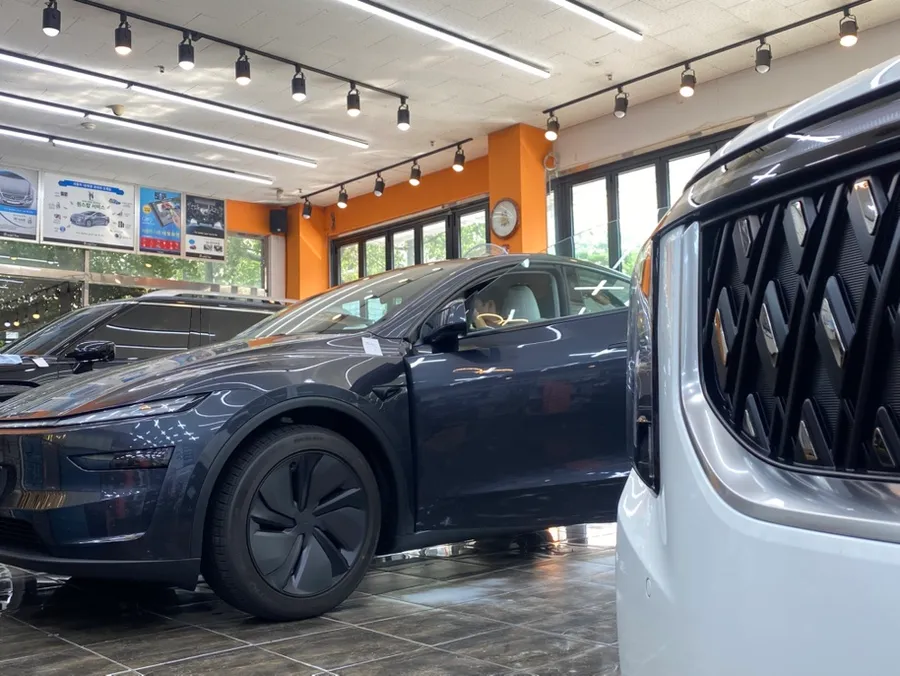 Tesla Model Yのカーフィルム施工事例｜費用目安・仕上がり 施工写真 2-1