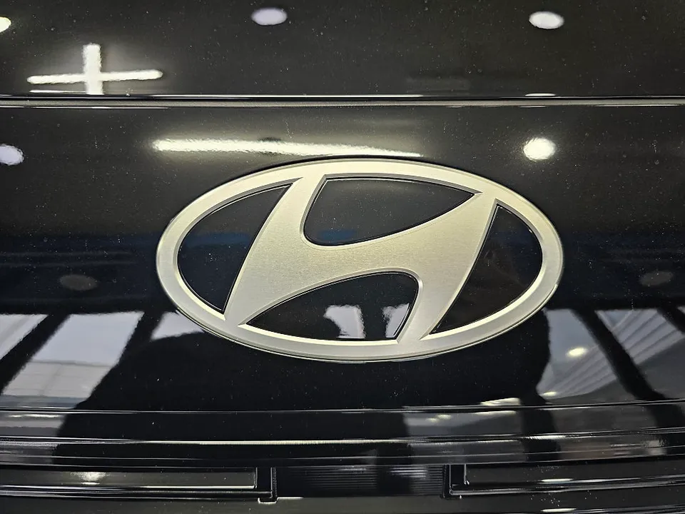 Hyundai Palisadeのカーラッピング事例|費用目安・仕上がり 施工写真 1-2