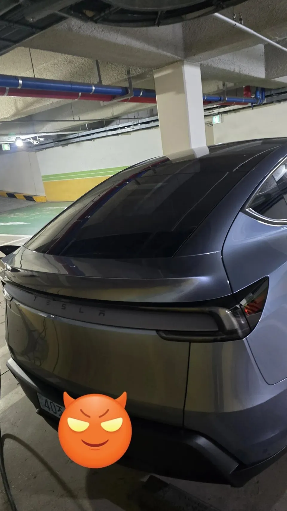 Tesla Model Yのカーフィルム施工事例|費用目安・仕上がり 施工写真 3-1