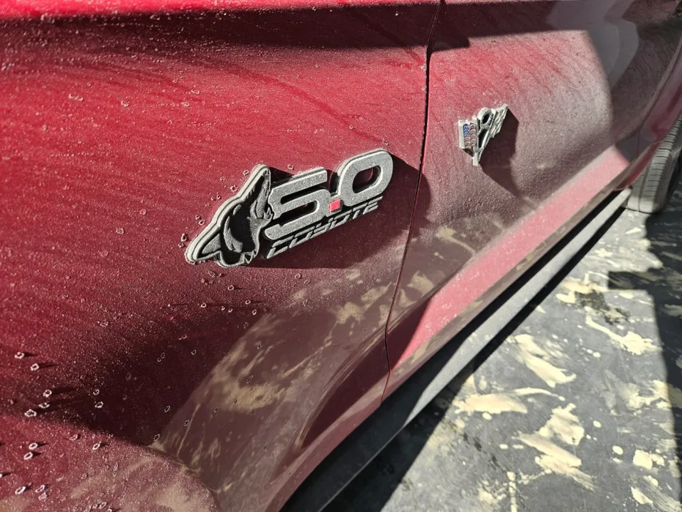 Ford Mustangのガラスコーティング事例|費用目安と仕上がり 施工写真 2-2