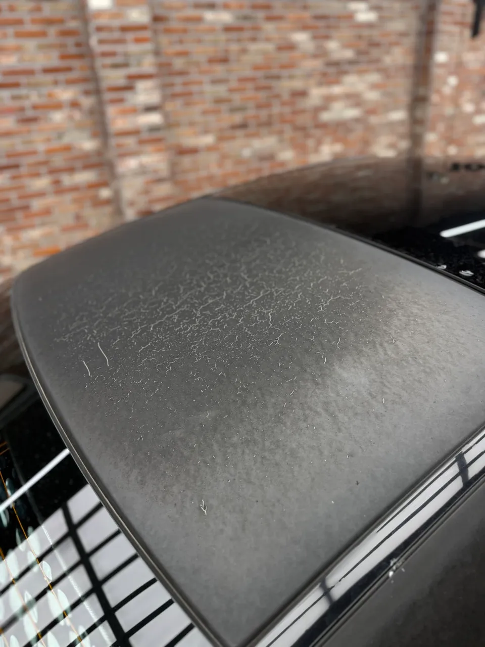 Mercedes-Benz C-Class ppf - Mercedes-Benz C-Class PPF Install: Full Protection Review photo 4