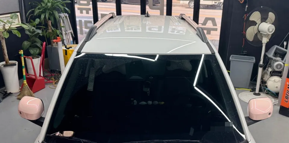 Hyundai Palisade PPF Review — Long-Lasting Paint Protection photo 3