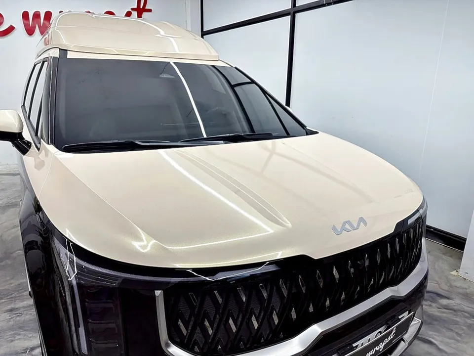 Kia Carnival Hi-Limousineのカーラッピング事例:デュオトーンで個性を演出 施工写真 3-2