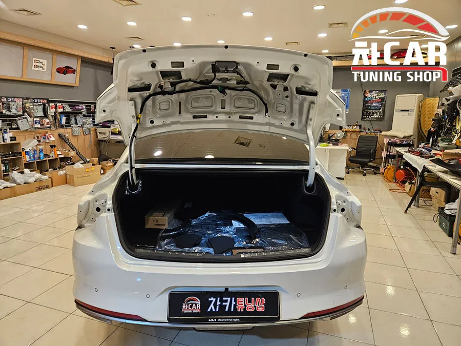 Kia K8 lighting upgrade - Kia K8 Lighting Upgrade Review: Moving Turn Signals photo 3