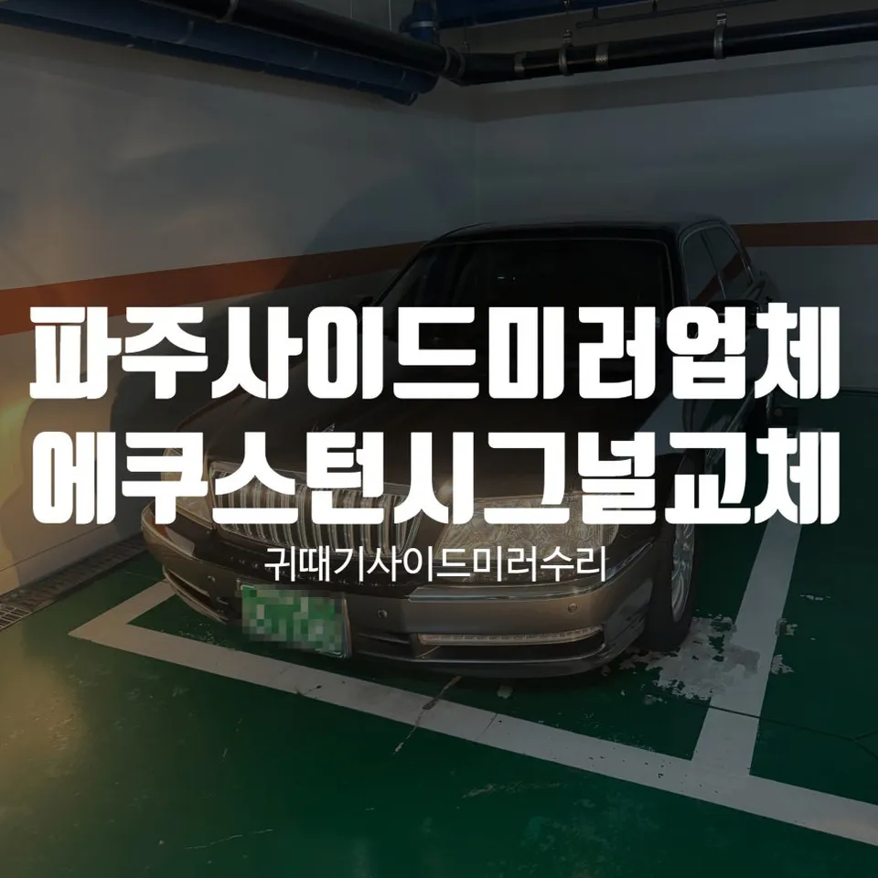 Hyundai 에쿠스 body repair installation result