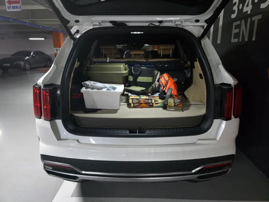 Kia Sorento MQ4 ambient lighting - Kia Sorento MQ4 Ambient Lighting Installation Review — Cost photo 3