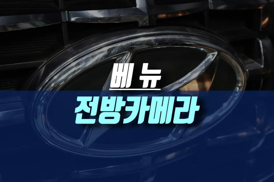 Hyundai Venue sensors cameras review
