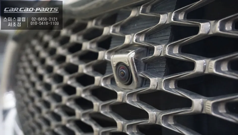 Kia K900 around view - Kia K900 360 Camera Review — Safe Parking photo 3