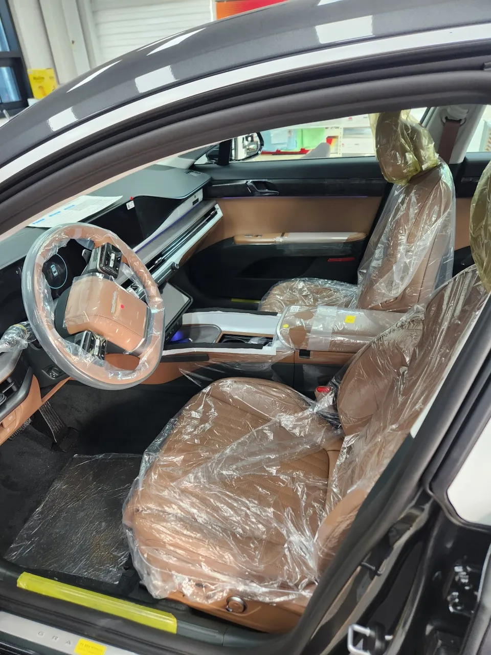 Hyundai Azera New Car Protection Package Review — Enhanced Clarit photo 2