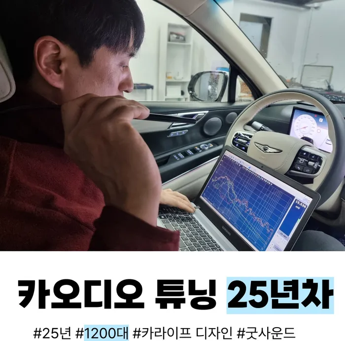 Lexus NX 300h dash cam installation result