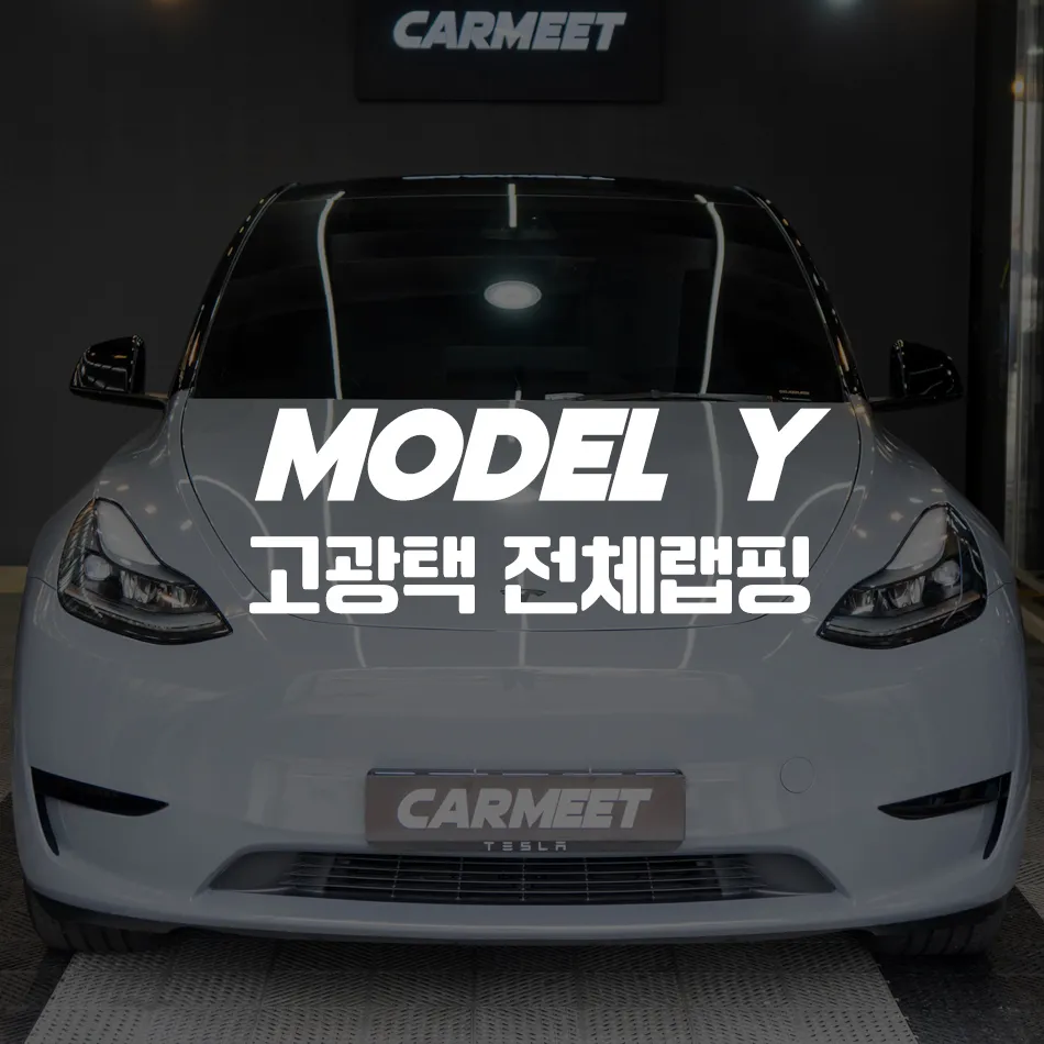 Tesla Model Y vinyl wrap installation result