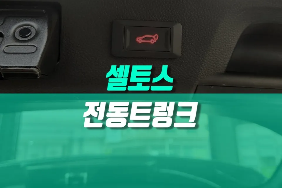 Kia Seltos oem options review