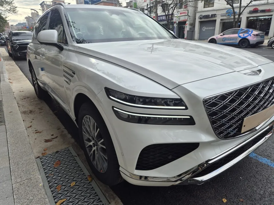 Genesis GV80 New Car Protection Package Review photo 2