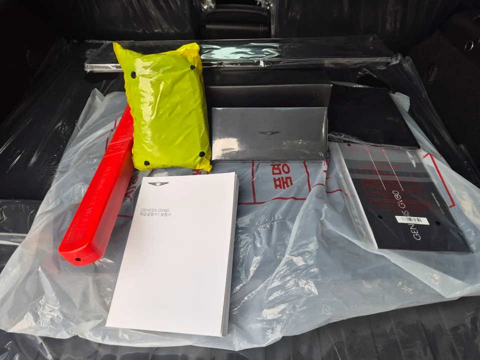 Genesis GV80 new car package - Genesis GV80 New Car Protection Package Review photo 3