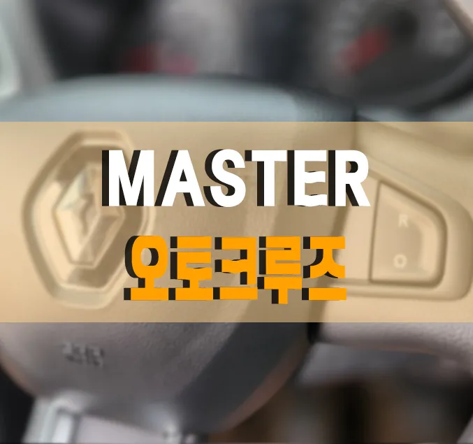 Renault Master oem options installation result
