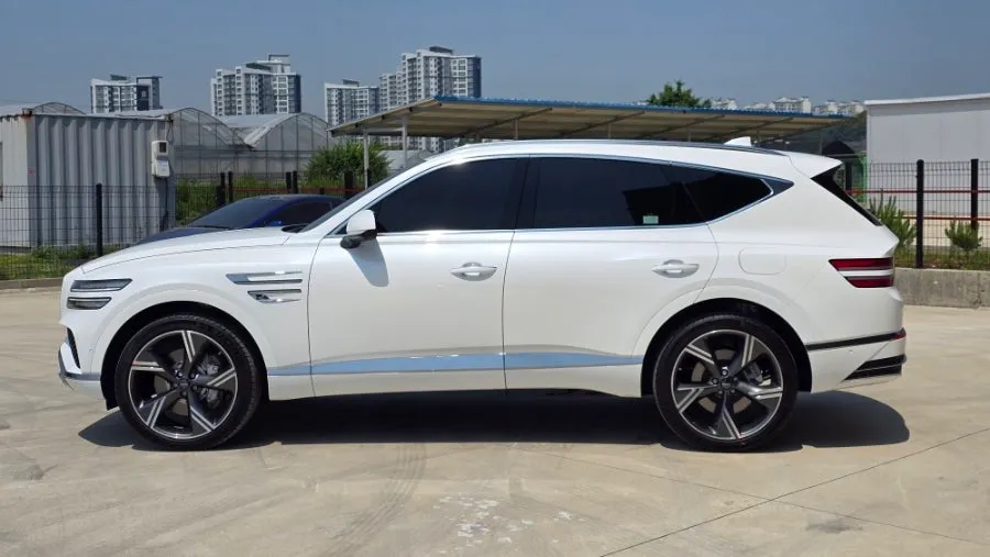 Genesis GV80 New Car Protection Package Review After