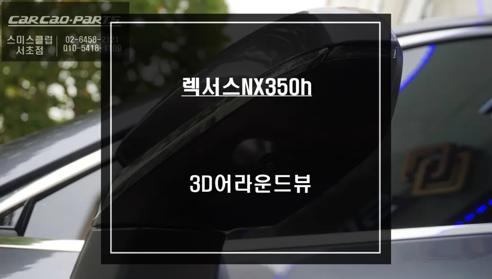 Lexus NX350h 3D Around View Review — Seamless Integration