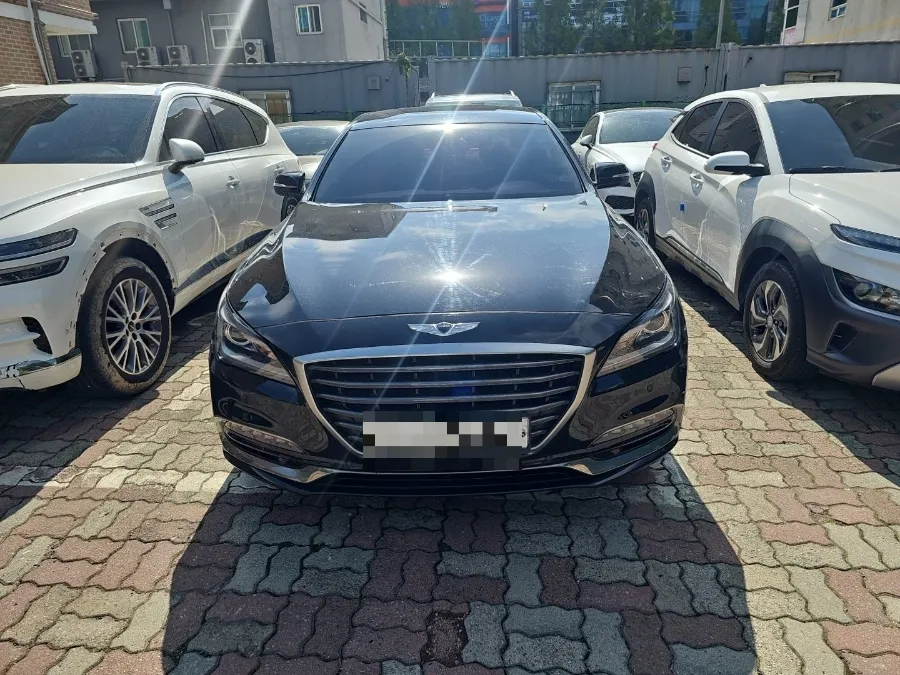 Genesis DH new car package installation result