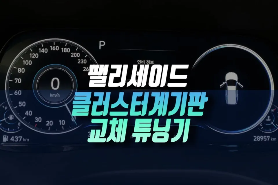 Hyundai Palisade oem options installation result