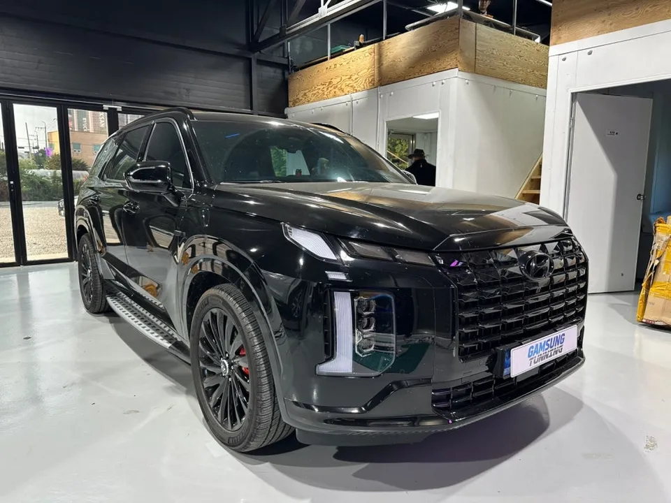 Hyundai The New Palisade ambient lighting review
