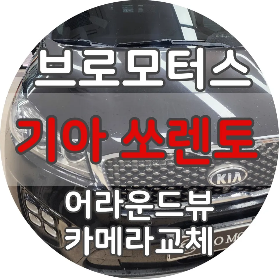 Kia Sorento surround view camera installation result