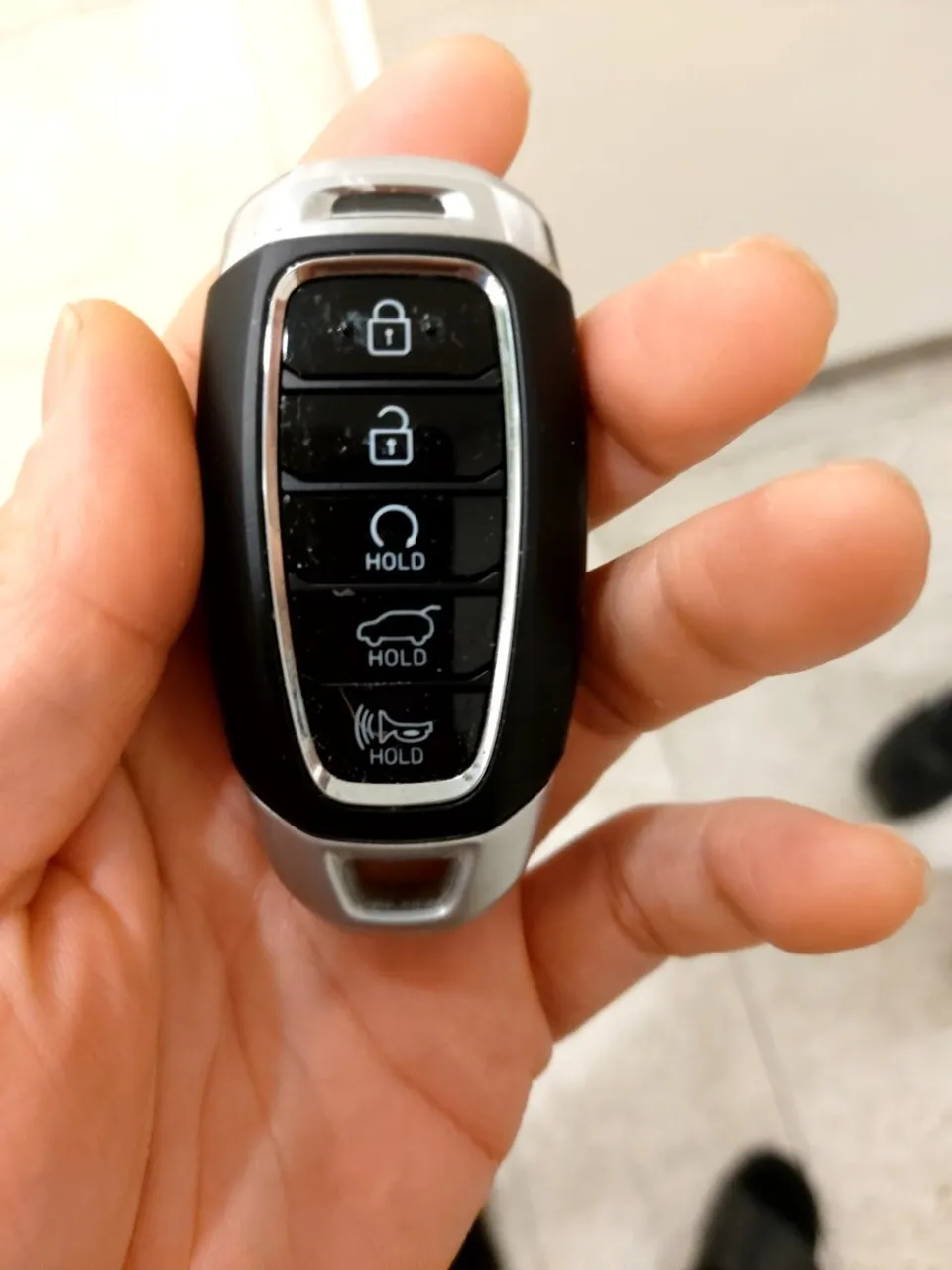 Hyundai Palisade oem options installation result