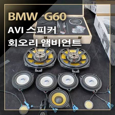 BMW 5 Series G60 ambient lighting installation result