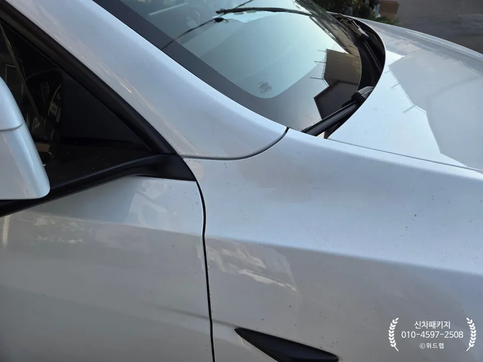 Tesla Model YのPPF施工事例 施工写真 3-1