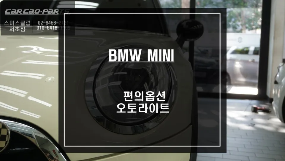 BMW MINI oem options installation result