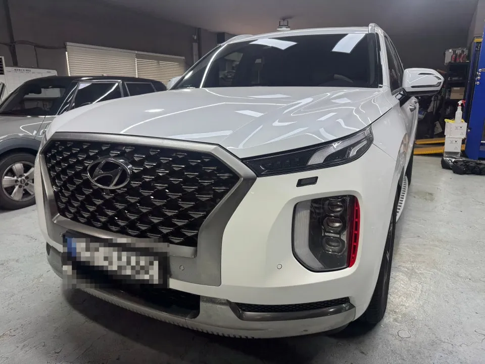Kia Palisade Ambient Lighting Review — Cost & Results Before