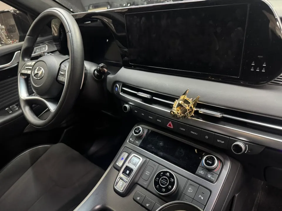 Kia Palisade ambient lighting - Kia Palisade Ambient Lighting Review — Cost & Results photo 3