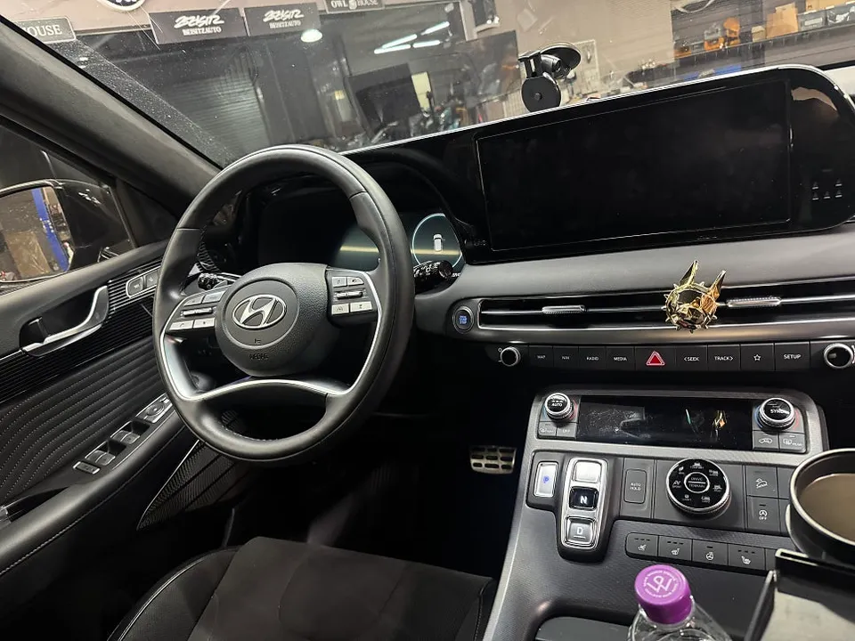 Kia Palisade ambient lighting - Kia Palisade Ambient Lighting Review — Cost & Results photo 4