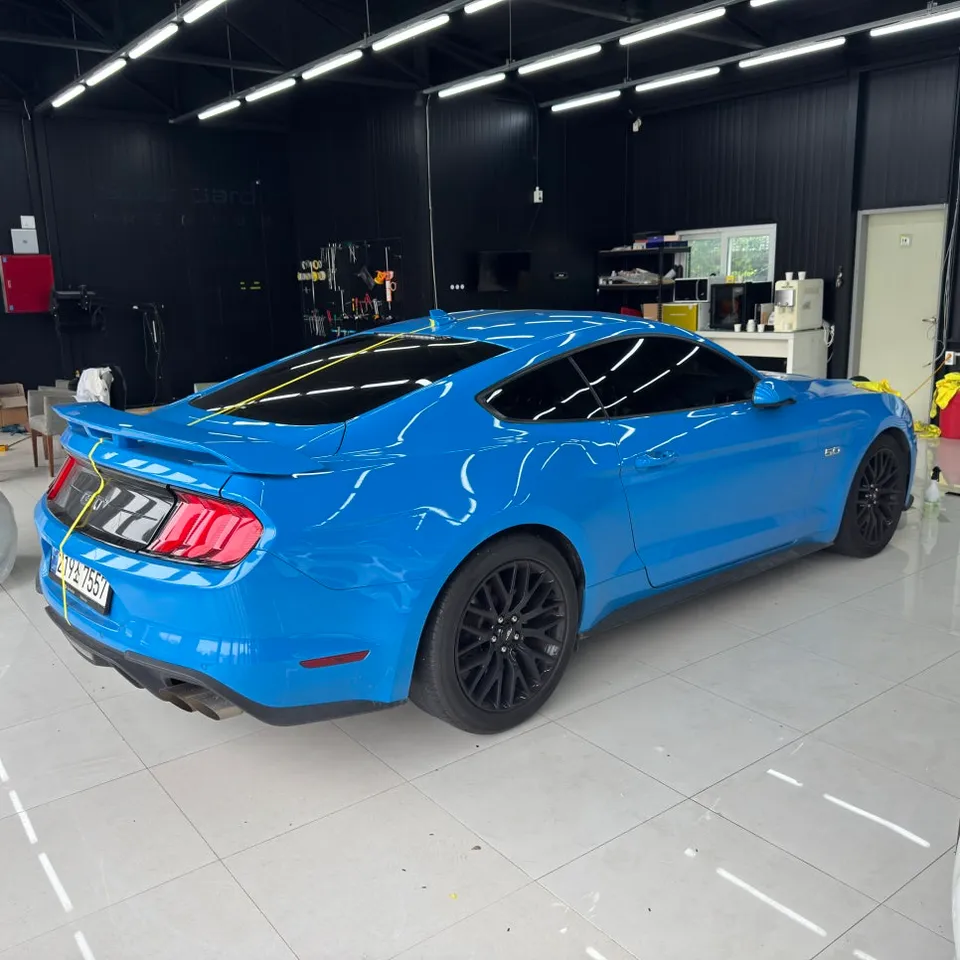Ford Mustang vinyl wrap - Ford Mustang Vinyl Wrap Review: Viper Stripe Installation Cost photo 4