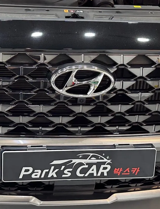 Hyundai Santa Fe TM ambient lighting - Hyundai Santa Fe TM Ambient Lighting Review — Cost & Results photo 3
