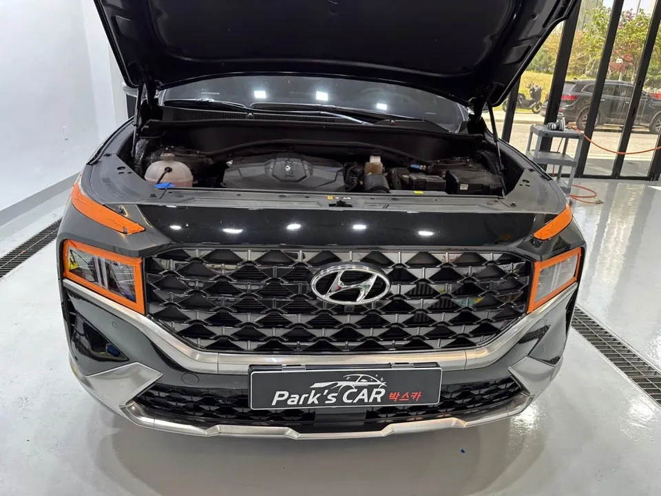 Hyundai Santa Fe TM ambient lighting - Hyundai Santa Fe TM Ambient Lighting Review — Cost & Results photo 5
