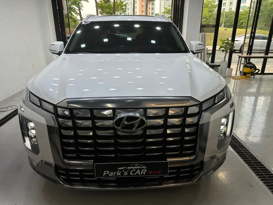 Hyundai Palisade PPF Review — Enhanced Protection