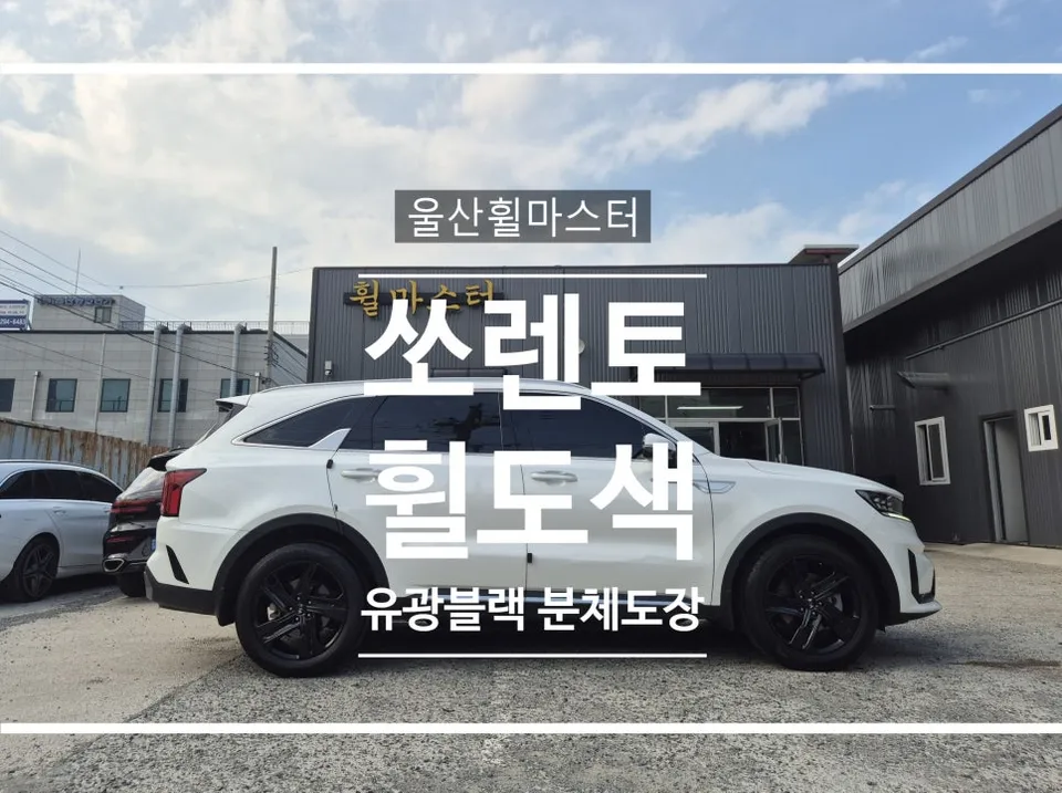 Kia Sorento Wheel Repair Review — Gloss Black Powder Coating photo 1