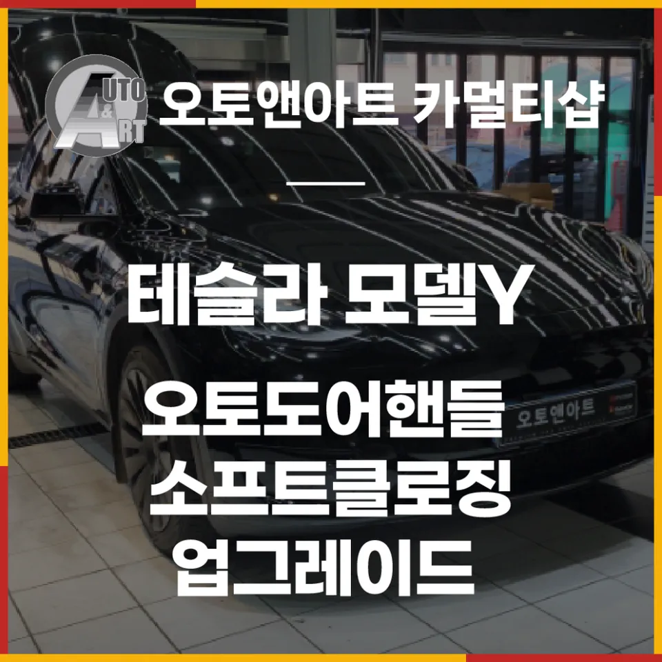 Tesla Model Y oem options installation result