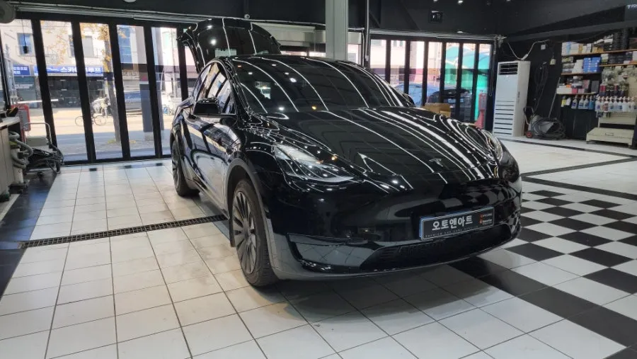 Tesla Model Y oem options - Tesla Model Y OEM Options Review: Auto Door Handle & Soft Closing photo 3