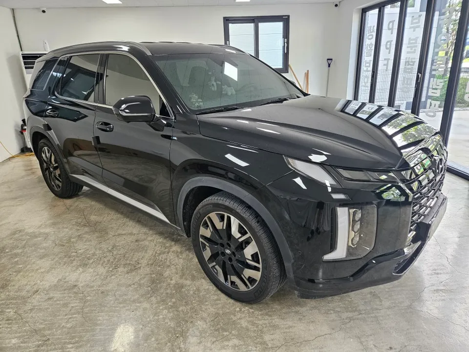 Hyundai Palisadeのカーラッピング事例 施工写真 2-2