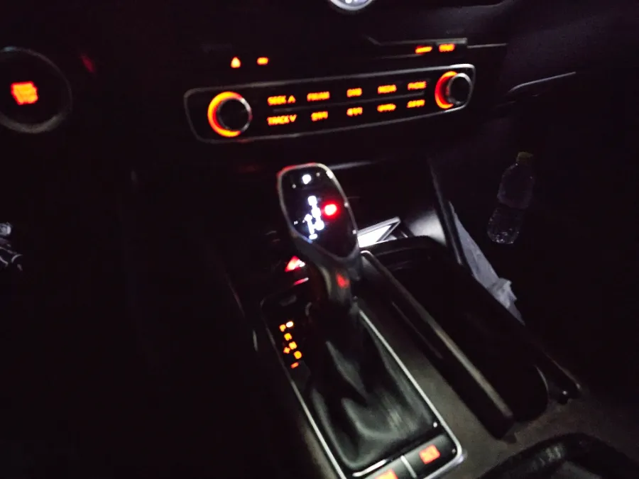 Kia K900 Steering Wheel Customization Review After