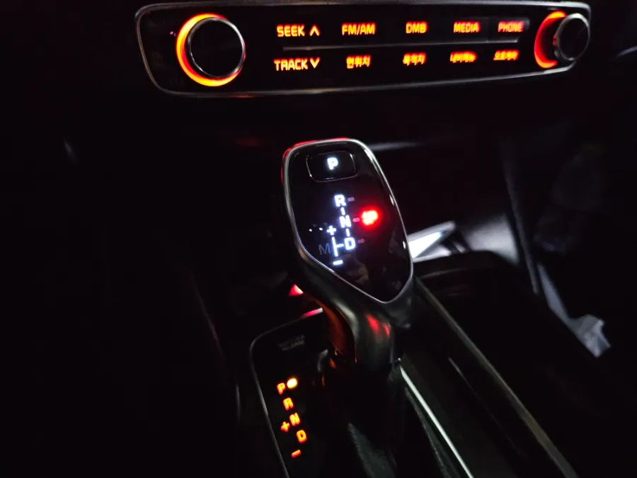 Kia K900 steering wheel - Kia K900 Steering Wheel Customization Review photo 4