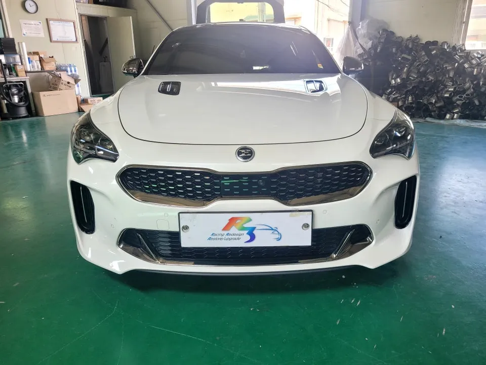 Kia Stinger Lighting Upgrade: Tail Light Conversion Review photo 1