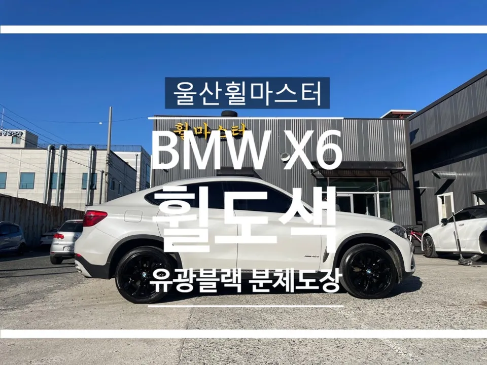 BMW X6 Wheel Repair & Gloss Black Painting Review